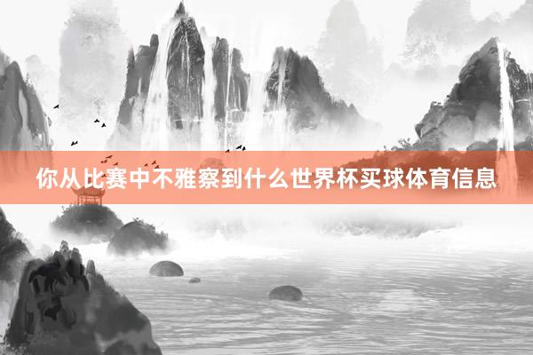 你从比赛中不雅察到什么世界杯买球体育信息