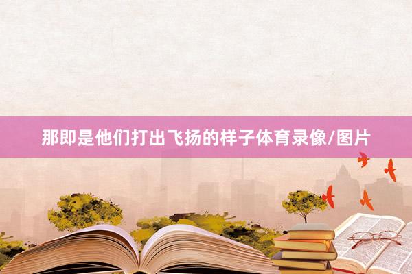 那即是他们打出飞扬的样子体育录像/图片