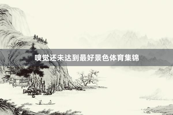 嗅觉还未达到最好景色体育集锦