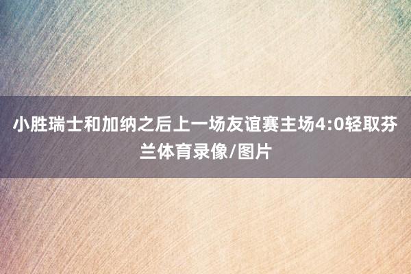 小胜瑞士和加纳之后上一场友谊赛主场4:0轻取芬兰体育录像/图片
