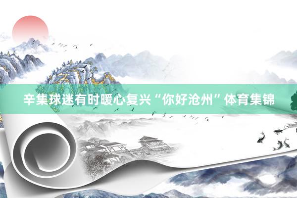 辛集球迷有时暖心复兴“你好沧州”体育集锦