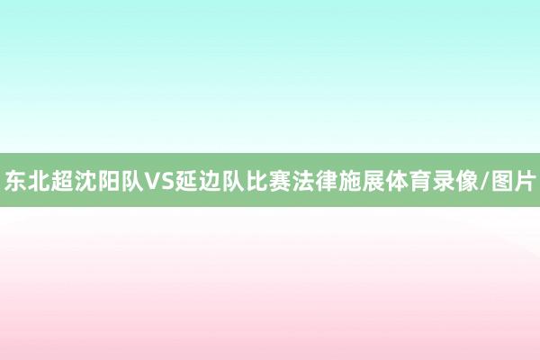 东北超沈阳队VS延边队比赛法律施展体育录像/图片