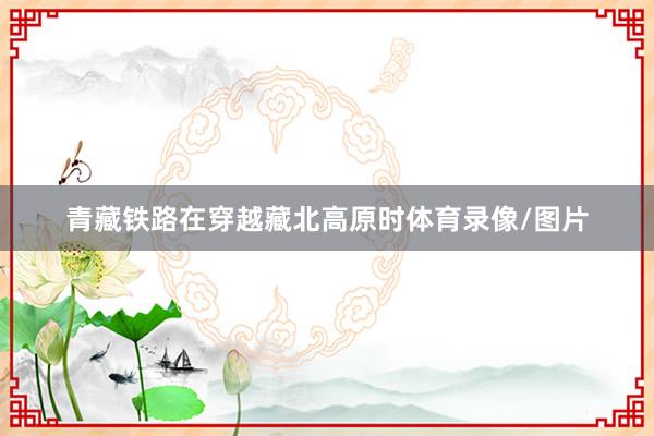 青藏铁路在穿越藏北高原时体育录像/图片